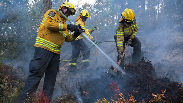 experte: europa braucht gemeinsame waldbrand-strategie