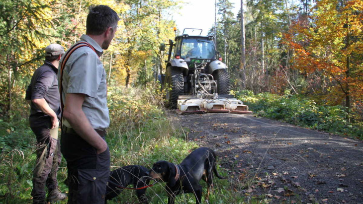 müll, zerstörung, waldarbeiten: probleme auf sachsens waldwegen