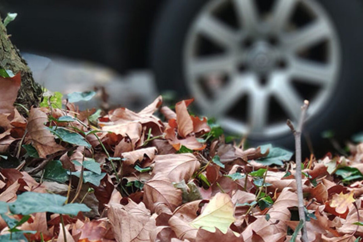 höchste zeit für winterreifen am auto: wann es ohne sie strafen gibt