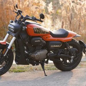 motofino v-maxter 300: freche sportster xs aus china