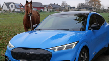 Ford Mustang Mach-E GT: Es lebe der Sport!