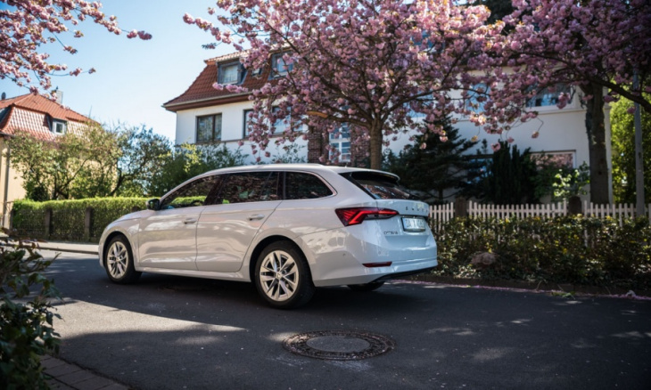 neuer skoda octavia combi 2020 2.0 tdi test: preis, assistenz und ausstattung