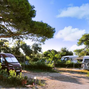 campingplatz des monats in kroatien: camping ugljan resort