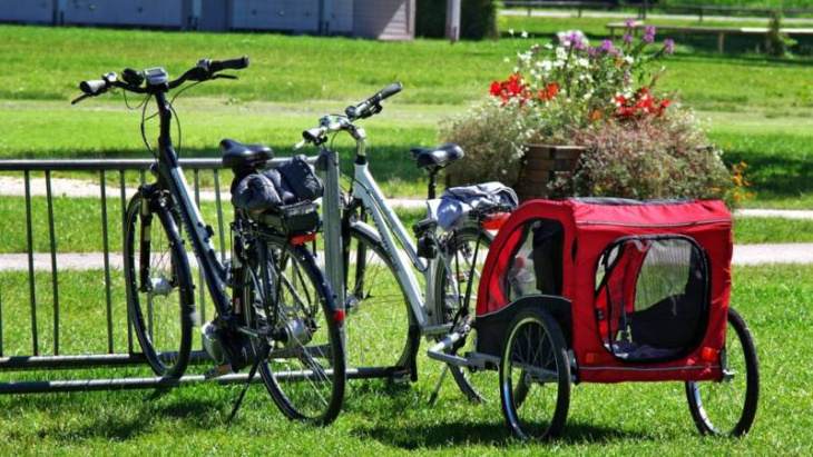 fahrradanhänger test: worauf sollte man beim kauf achten