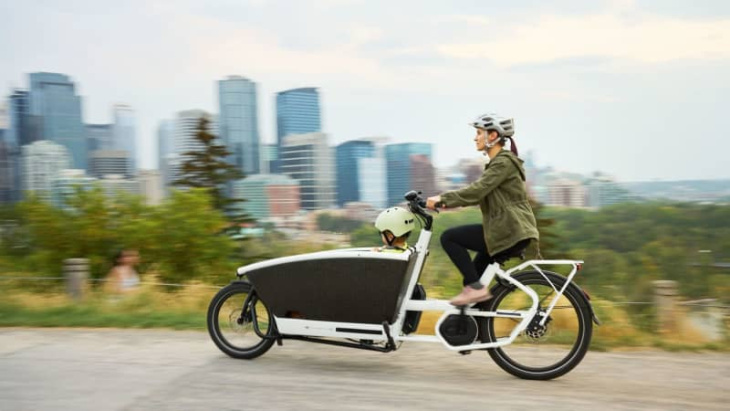 e-bike-lastenrad: so finden sie das beste modell