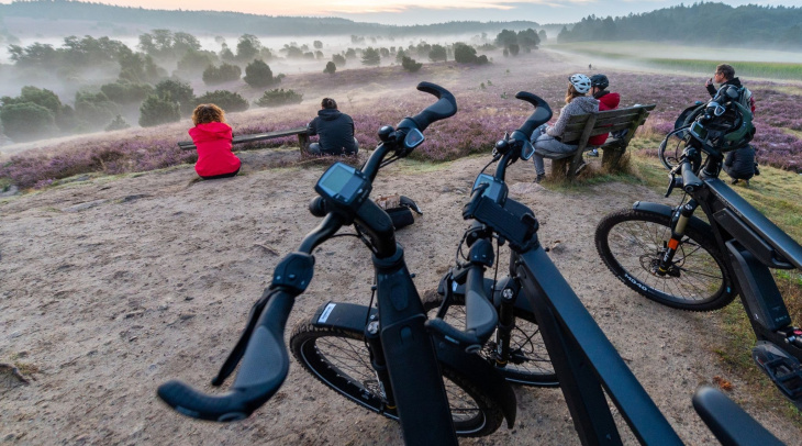 mobilität: im norden gibt es die meisten elektrofahrrad-besitzer