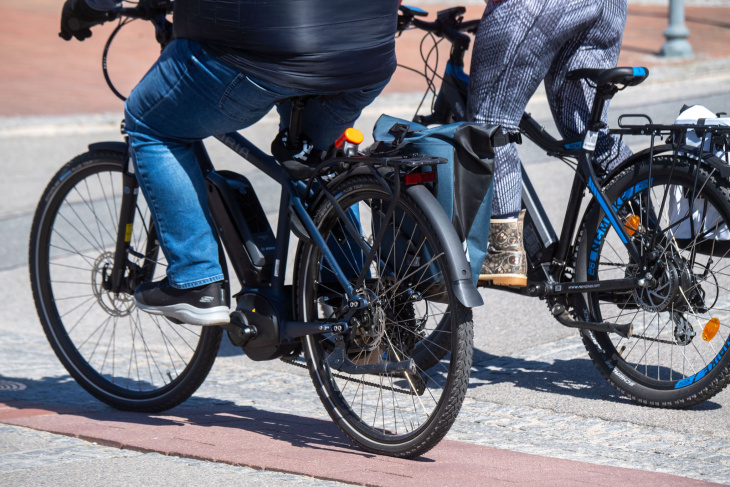 förster auf e-bikes: test auf waldwegen in brandenburg