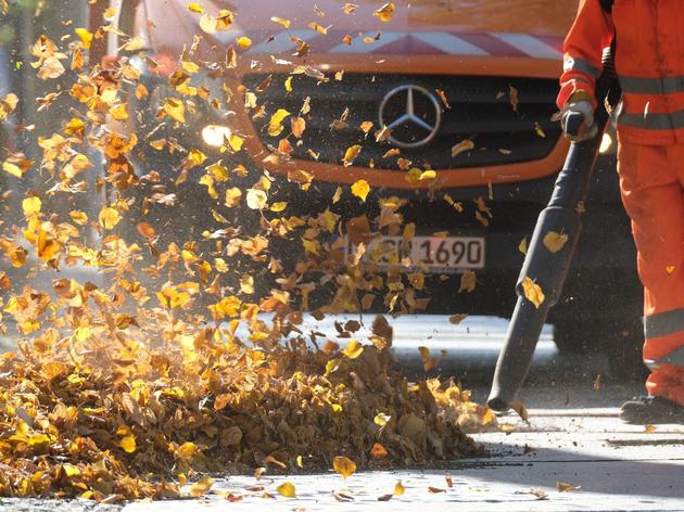 laufpass für fossile laubbläser ‒ münchen schafft geräte mit benzin- und diesel-antrieb ab