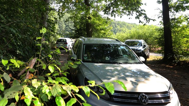 falsch geparkt, schon klebt das ganze auto: darauf müssen autofahrer unbedingt achten