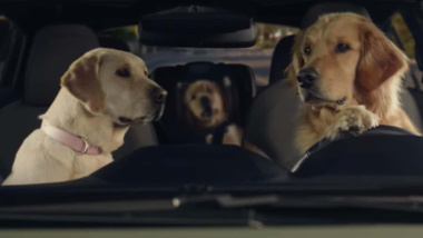 Subaru zeigt in den USA bezaubernde neue Hunde-Werbespots