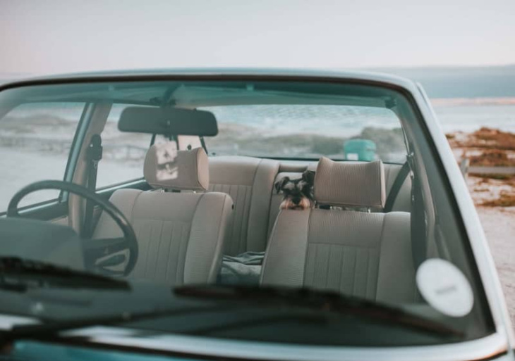 krasse funktion: die kopfstütze im auto kann über leben entscheiden herausgefunden
