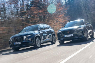 Cupra Formentor und Hyundai Tucson als Plug-in-Hybride: Zwei Stecker-SUV mit unterschiedlichem Charakter