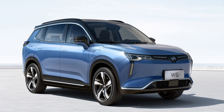 china: kaixin auto will e-autohersteller wm motor übernehmen