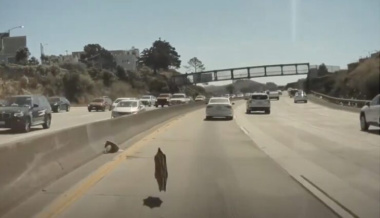 Video: Tesla Cybertruck verliert bei Test auf Autobahn in Kalifornien eine Rad-Abdeckung