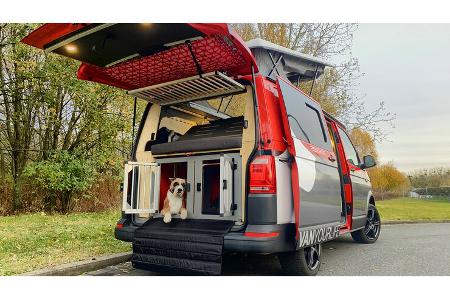 campervan für hunde-fans in bulli-größe