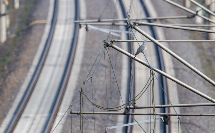 verkehr: elektrifizierung von bahnstrecken kommt nicht voran