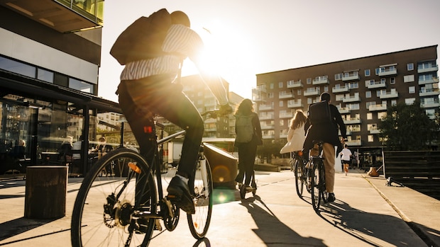 pedal-pfade durch deutschland: die top-routen für fahrradenthusiasten