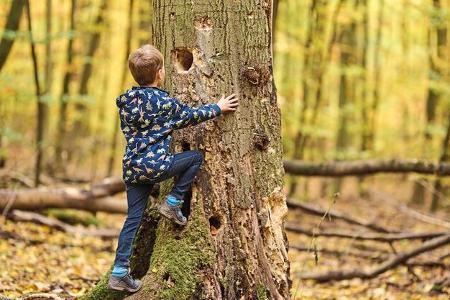 campen am naturpark hainich in thüringen