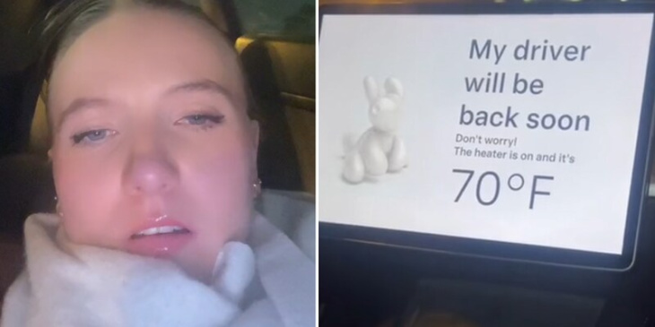 schlafende freundin im auto - tiktok-video zeigt humorvollen einsatz von teslas sicherheitsfunktion