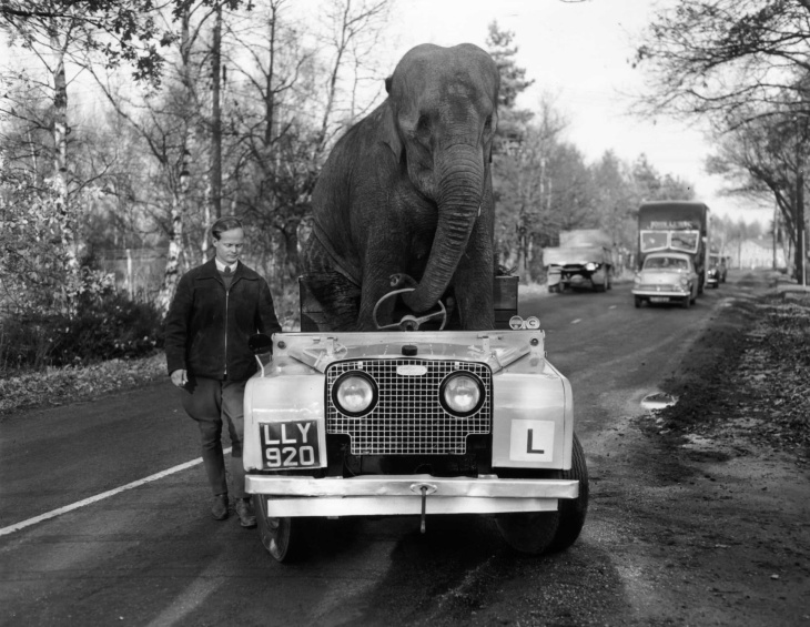 der land rover: warum lieben wir ihn eigentlich so?