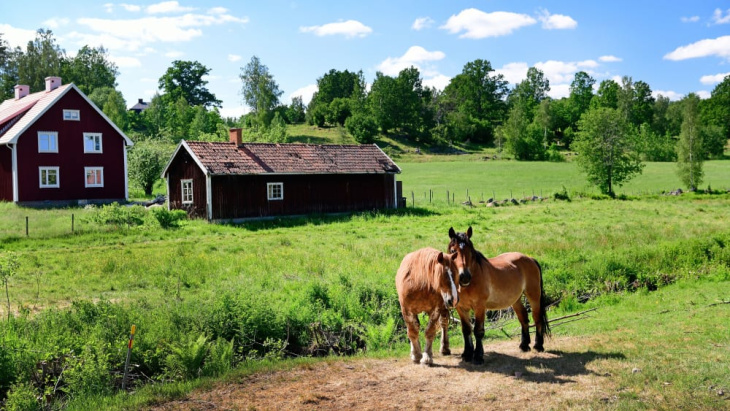 im volvo zu besuch bei astrid lindgren und pippi langstrumpf - kicker