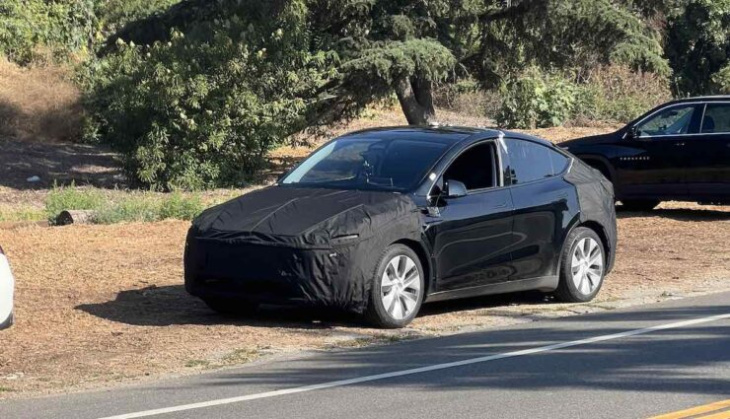 aktuell: erstmals foto von möglichem tesla model y juniper – ceo musk schaltet sich ein