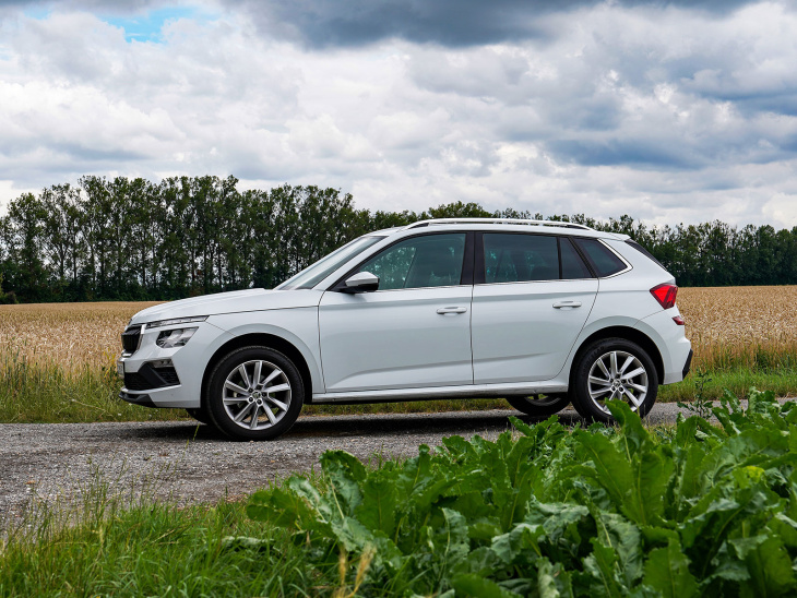 skoda kamiq selection tsi 115 ps im test