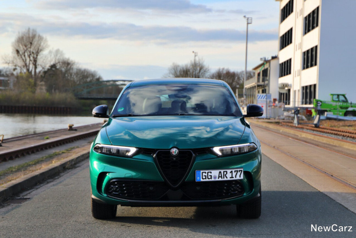 alfa romeo tonale diesel  test –  der sparsame exzentriker