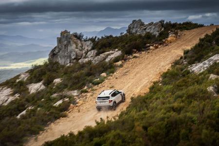 was soll das renault-logo auf dem dacia duster?