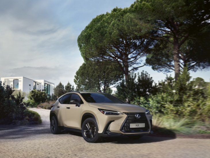 lexus nx overtrail: für leichtes gelände modifiziert