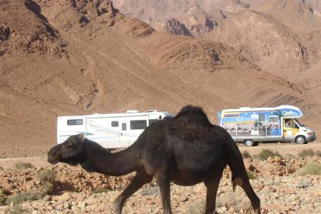 sind geführte campingreisen ihr ding?