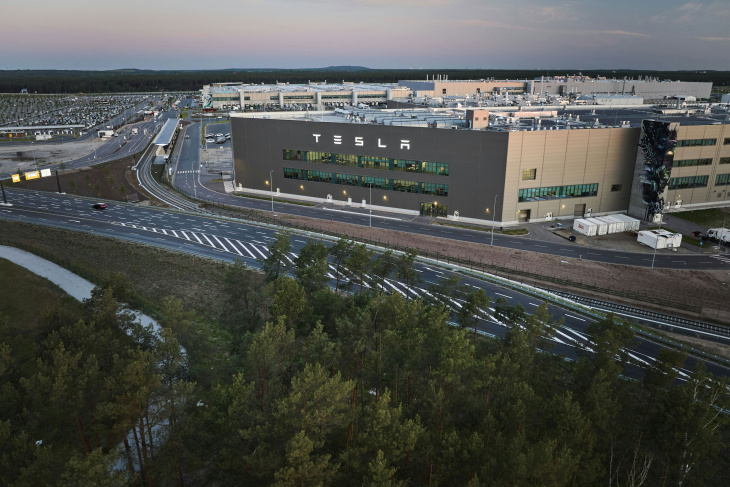 tesla in grünheide: so viele bäume wurden für die gigafactory bei berlin gefällt – bericht