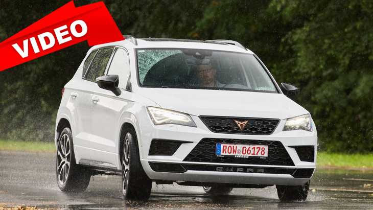 Cupra Ateca: Gebrauchtwagen-Test