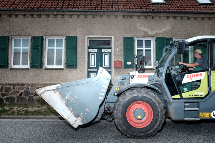 „lärmfolter“ und hinterhältige revierkämpfe: meine abrechnung mit der scheinwelt dorf