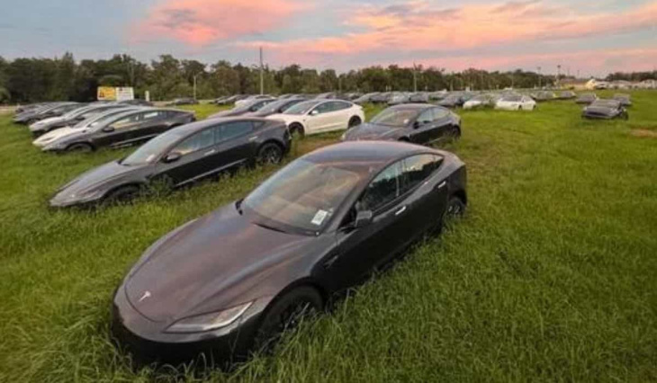 friedhof für verlassene teslas wird viral und sorgt für diskussionen in den sozialen medien