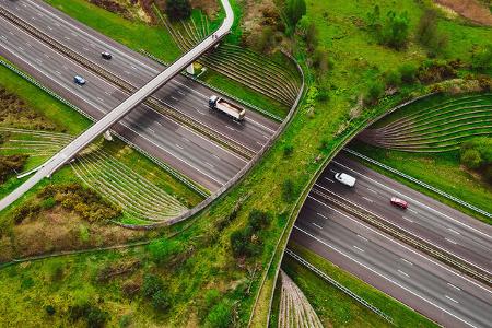 was kostet es, eine brücke zu bauen?