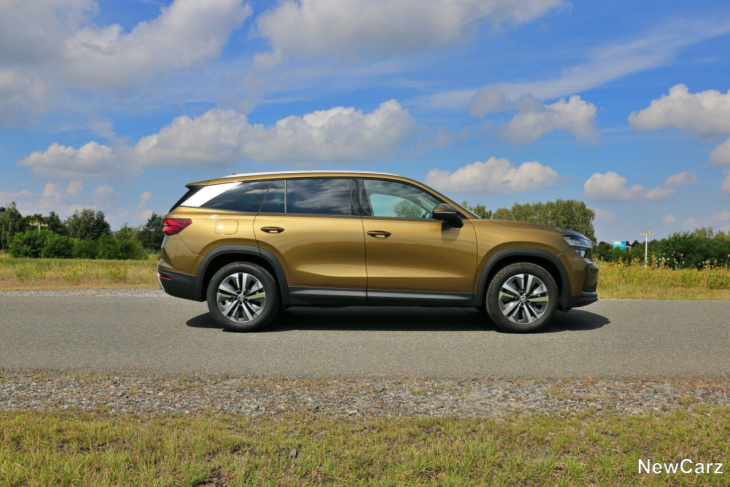 skoda kodiaq ii  test –  der ausgewachsene bär