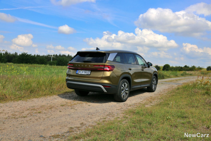 skoda kodiaq ii  test –  der ausgewachsene bär