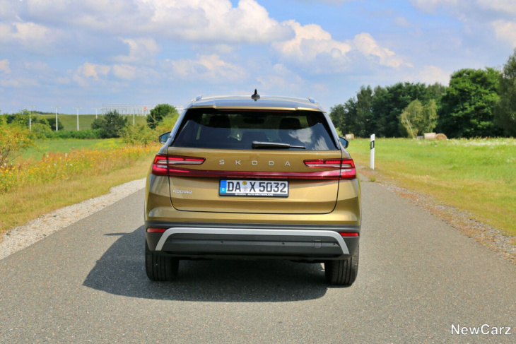 skoda kodiaq ii  test –  der ausgewachsene bär