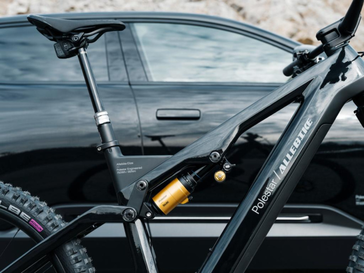 polestar & allebike: allebike elize polestar-e-mtb für adrenalinjunkies