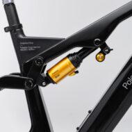 polestar & allebike: allebike elize polestar-e-mtb für adrenalinjunkies