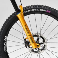 polestar & allebike: allebike elize polestar-e-mtb für adrenalinjunkies