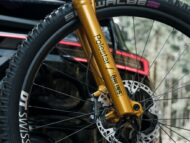 polestar & allebike: allebike elize polestar-e-mtb für adrenalinjunkies