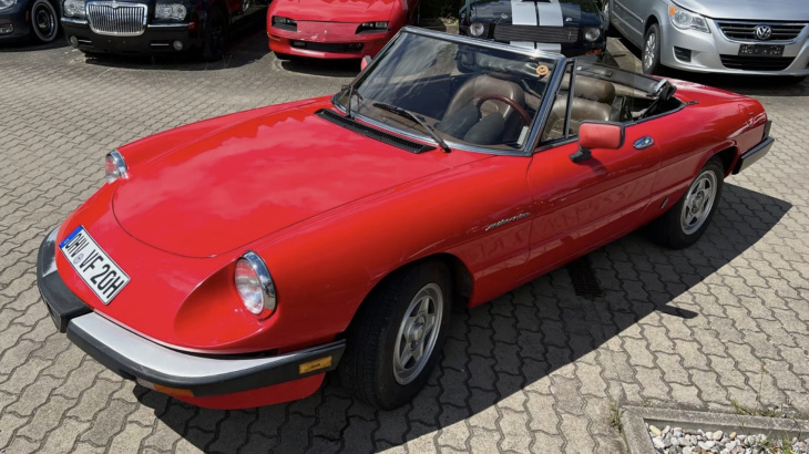 bella macchina: alfa romeo spider gebraucht zu verkaufen