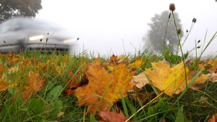 so kommen autofahrer sicher durch den herbst