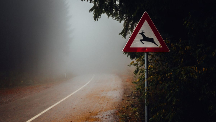 so kommen autofahrer sicher durch den herbst