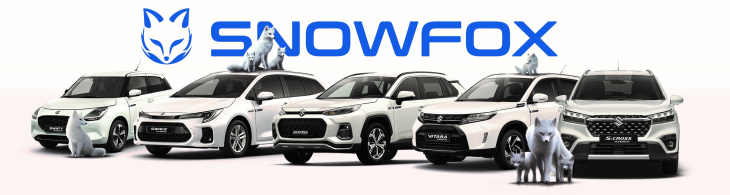 Suzuki Snowfox Modelle wieder da