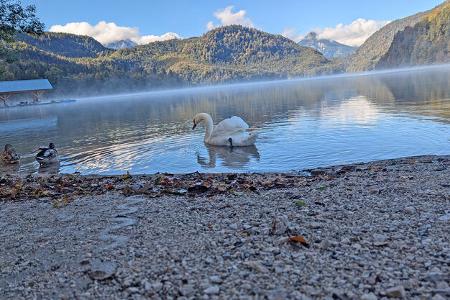 camping & wandern im herbst rund um neuschwanstein