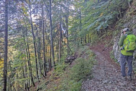 camping & wandern im herbst rund um neuschwanstein