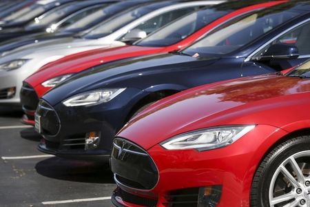 china daily: tesla muss weiterhin auf freigabe für fsd-funktion warten